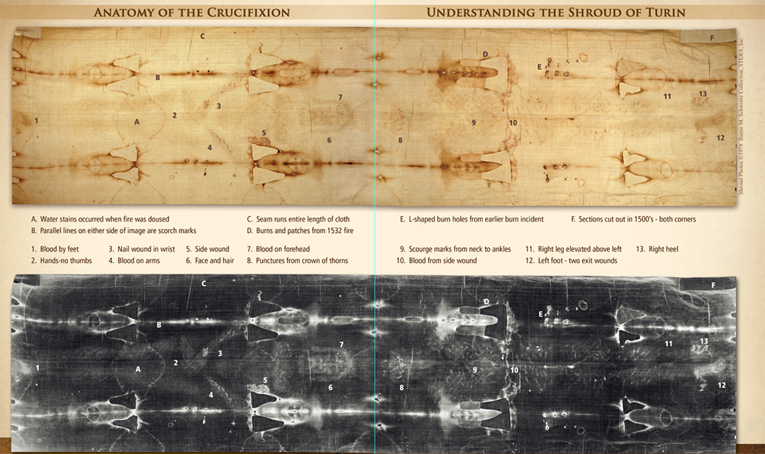 Shroud Of Turin Replica Exhibit Catholic Information Center